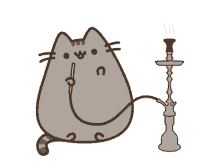 Gif animé chicha 